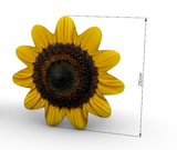 (Bulk 5 Balloons) 8ft (2.5m) Giant Inflatable Fruit Balloons, Apple, Pumpkin, Strawberry, Peach, Sunflower